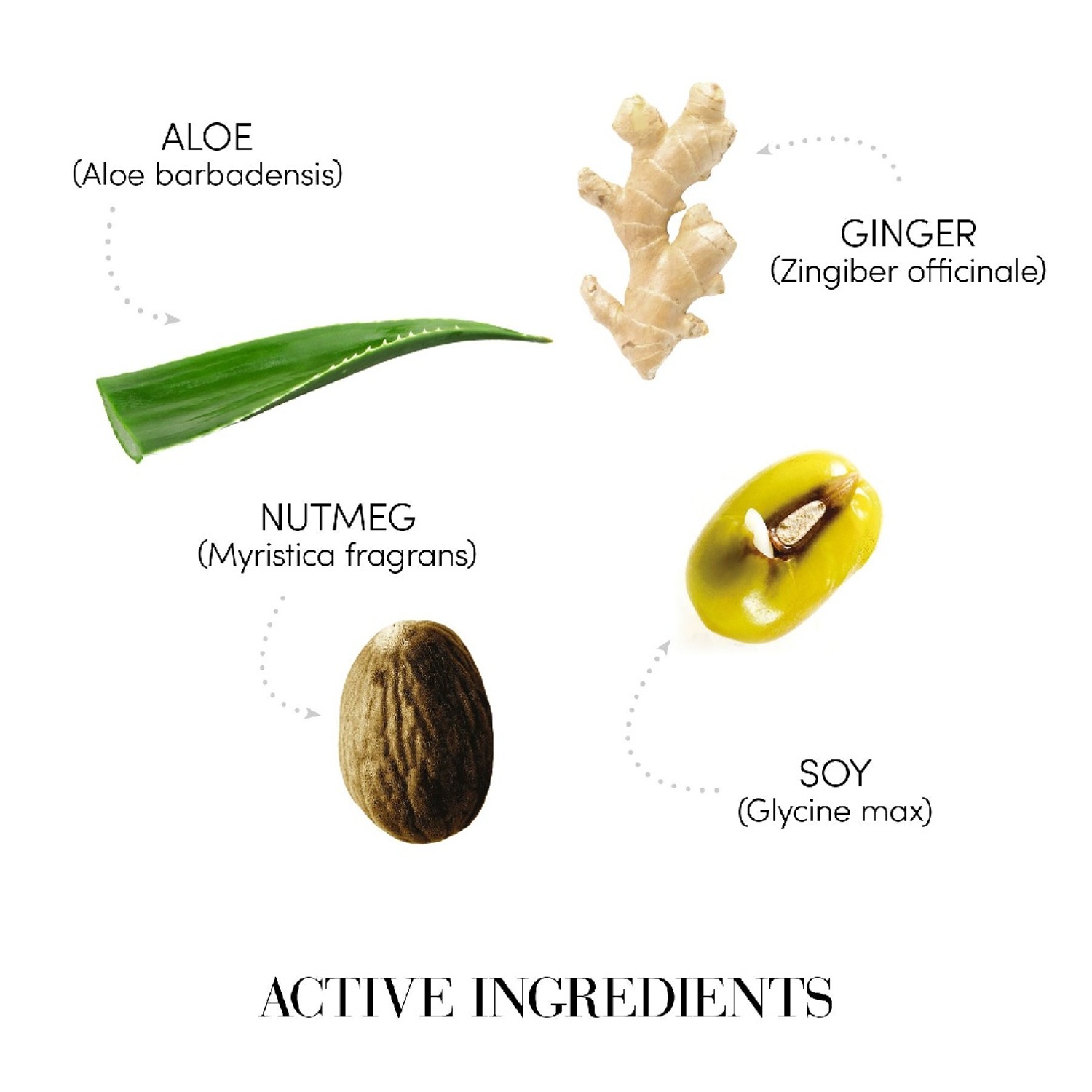 Шампунь для восстановления баланса жирной кожи головы Medavita Requilibre Shampoo Sebo-Equilibrante Шампунь для восстановления баланса жирной кожи головы Medavita Requilibre Shampoo Sebo-Equilibrante