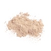 Солнцезащитная пудра с кистью Colorescience Sunforgettable Total Protection Brush-On Shield SPF 50 Medium