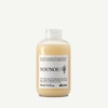 Набір для відновлення волосся Davines NOUNOU BOX