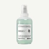Cпрей проти ламкості для пошкодженого волосся Davines MELU Spray