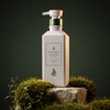 Балансирующий шампунь для жирной кожи головы Monxuan Clarifying Shampoo