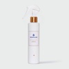 Незмивний спрей-еліксир для пошкодженого волосся Monxuan Elixir Leave-In Spray